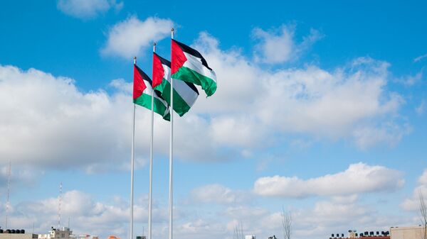 أعلام فلسطينية ترفرف - سبوتنيك عربي