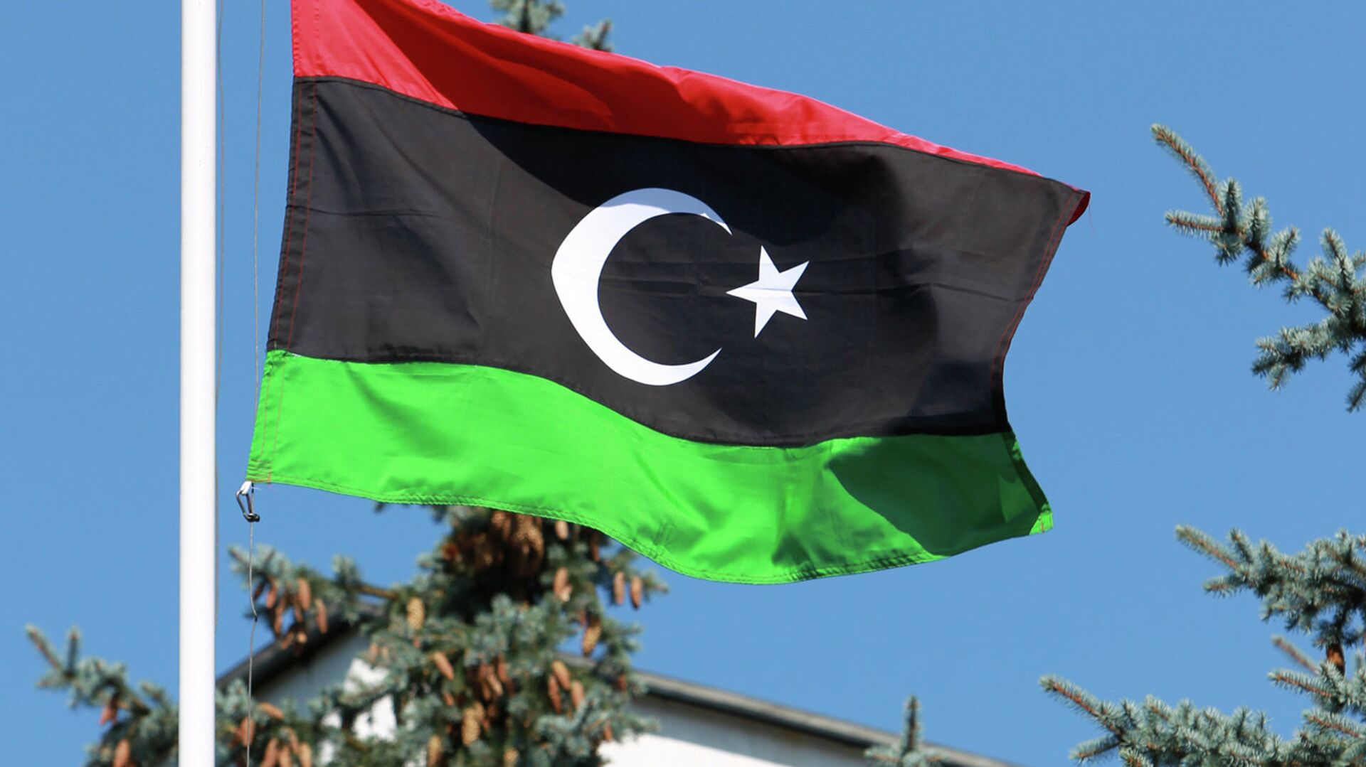 علم ليبيا - سبوتنيك عربي, 1920, 09.06.2021