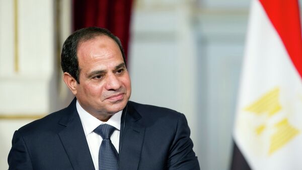 عبد الفتاح السيسي - سبوتنيك عربي