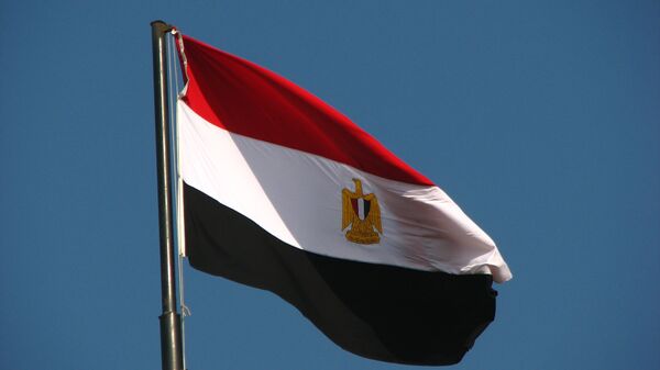 علم مصر - سبوتنيك عربي