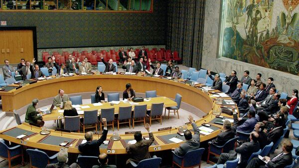 مجلس الأمن الدولي   - سبوتنيك عربي