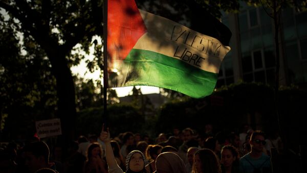 علم فلسطين - سبوتنيك عربي