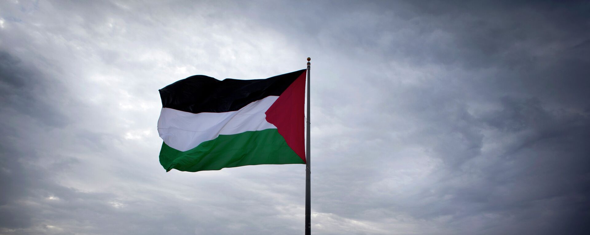 علم فلسطين - سبوتنيك عربي, 1920, 02.06.2021