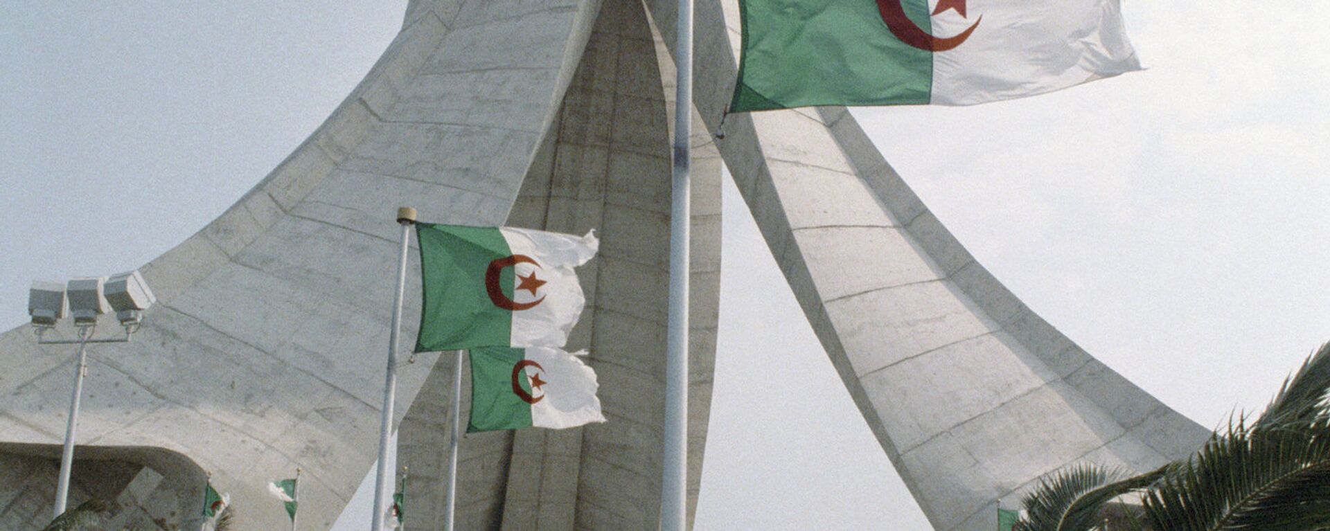 الجزائر - سبوتنيك عربي, 1920, 11.02.2021