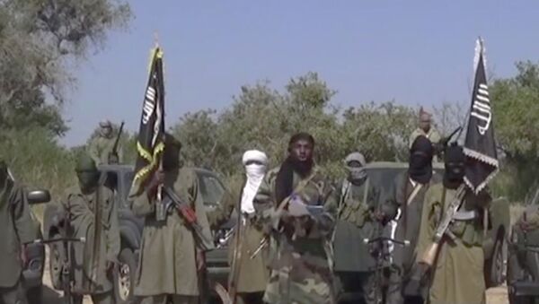 حركة بوكو حرام الإرهابية - سبوتنيك عربي