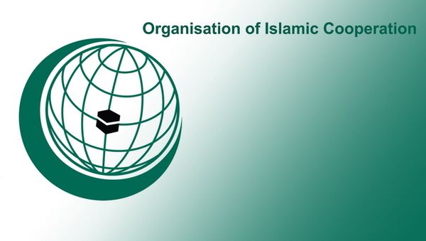 منظمة التعاون الإسلامي - سبوتنيك عربي