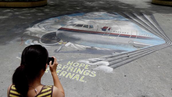 اختفاء الطائرة الماليزية - سبوتنيك عربي