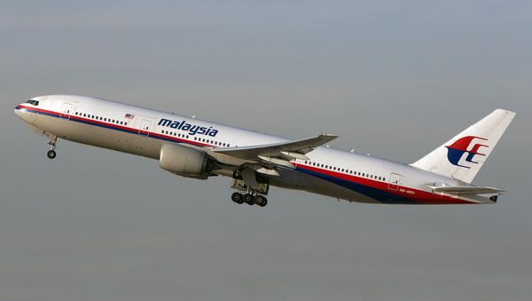 اختفاء الطائرة الماليزية - سبوتنيك عربي
