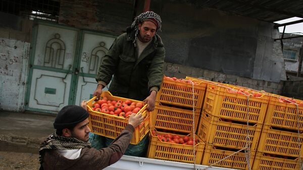 غزة تصدّر الخضروات والفواكه إلى إسرائيل - سبوتنيك عربي