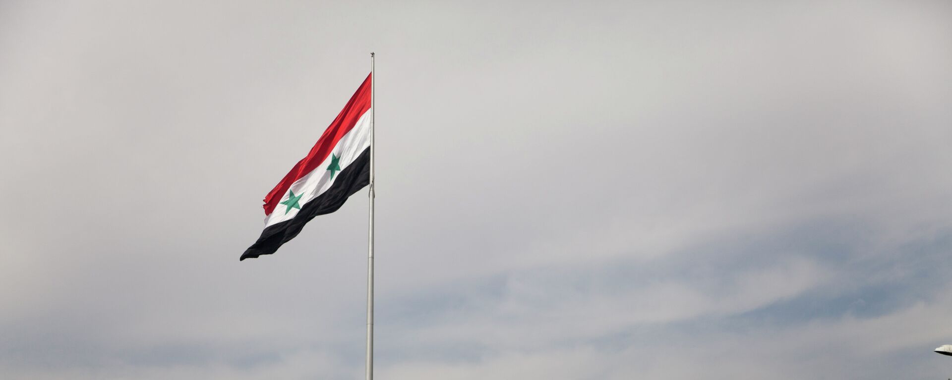 العلم السوري - سبوتنيك عربي, 1920, 08.05.2018