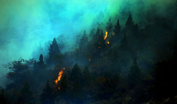 حرائق الغابات، شيلي - سبوتنيك عربي