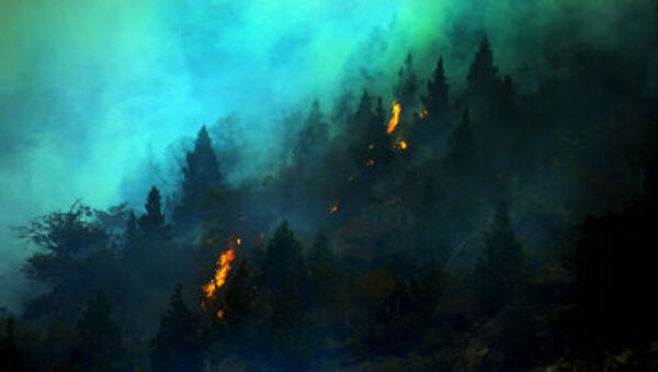حرائق الغابات، شيلي - سبوتنيك عربي