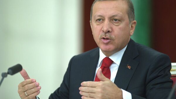 رجب طيب أردوغان - سبوتنيك عربي