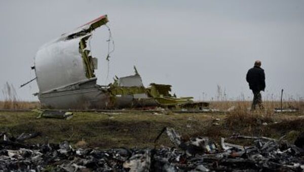 حطام طائرة البوينغ الماليزية في أوكرانيا - سبوتنيك عربي