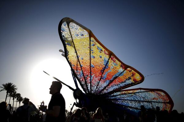 الناس يتجاهلون الفراشة في مهرجان الفنون في الهند - سبوتنيك عربي