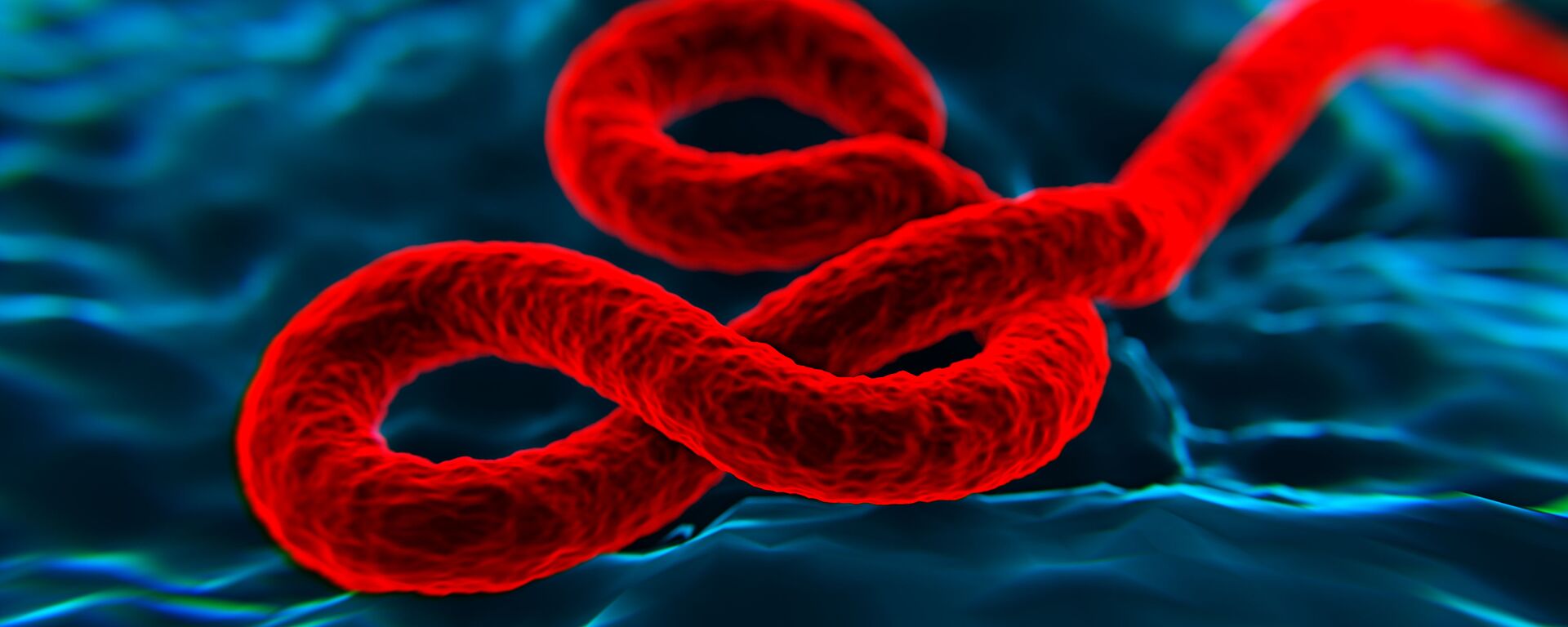 فيروس  إيبولا - سبوتنيك عربي, 1920, 10.03.2023