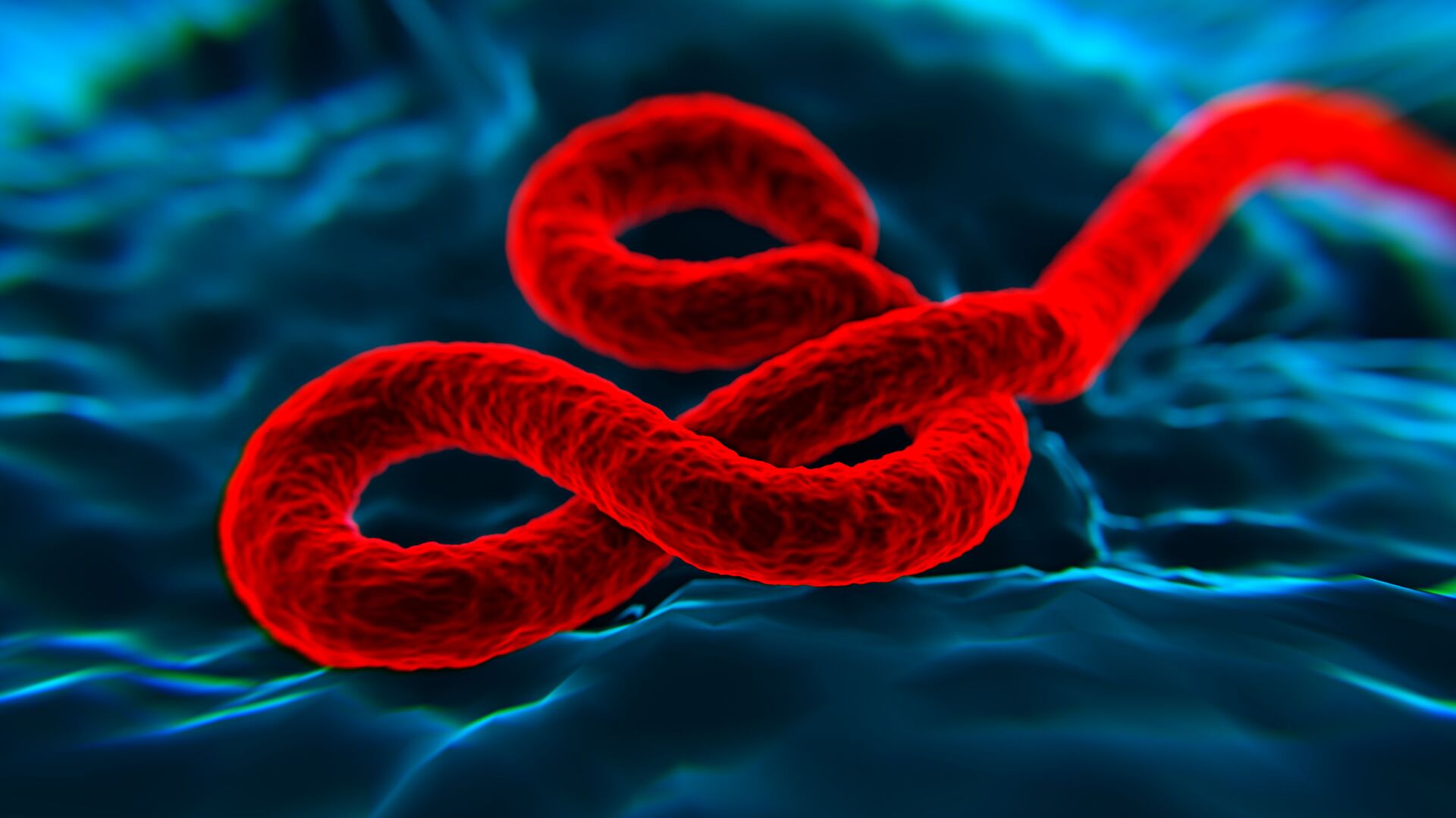 فيروس  إيبولا - سبوتنيك عربي, 1920, 30.10.2021