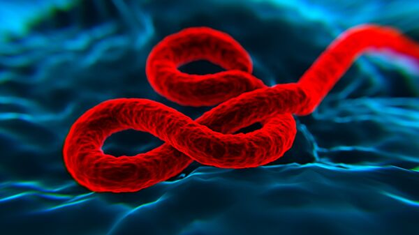 فيروس  إيبولا - سبوتنيك عربي