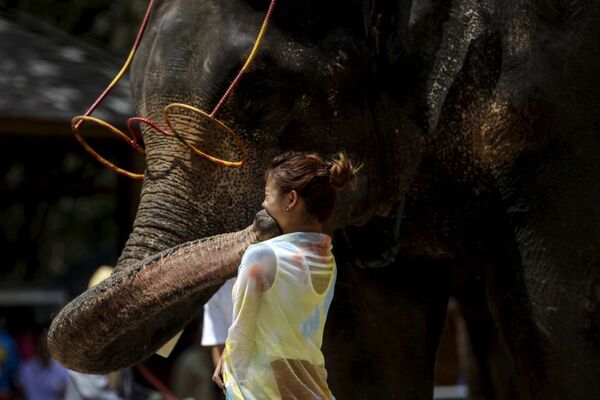 فيل يقبل طفلة من زوار معرض الفيلة في شيشوانغباننا في الصين - سبوتنيك عربي