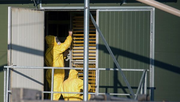 Experts wearing protection suits examine trays used to transport chicks at a poultry farm, where a highly contagious strain of bird flu - سبوتنيك عربي