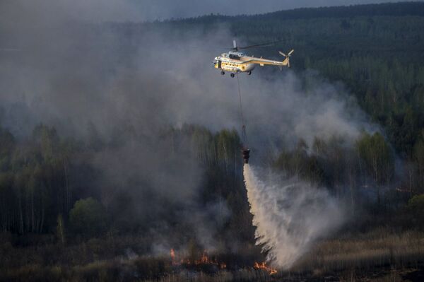إخماد الحريق في غابات تشيرنوبيل - سبوتنيك عربي