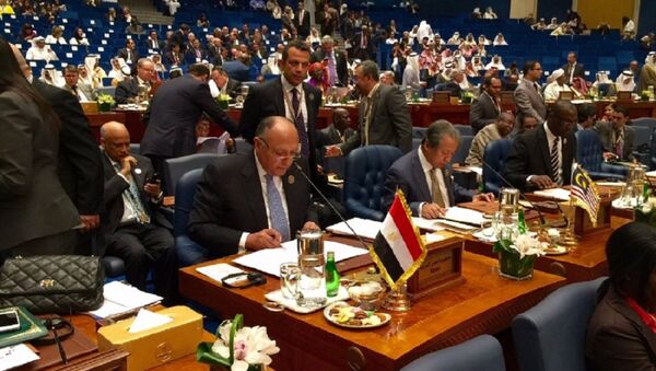 اجتماع وزراء خارجية التعاون الاسلامي - سبوتنيك عربي