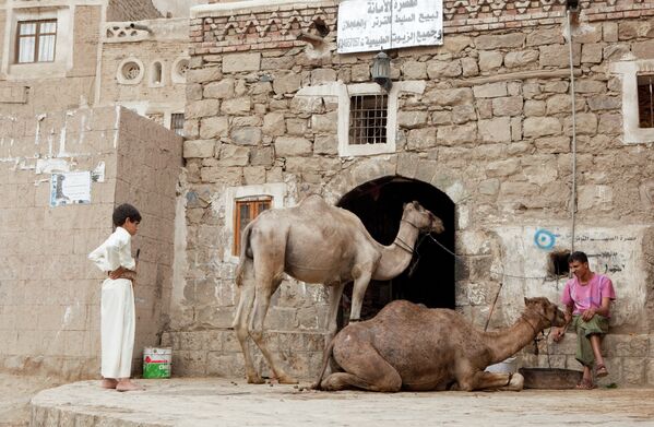 مربي الجمال فى المدينة القديمة فى صنعاء اليمن - سبوتنيك عربي