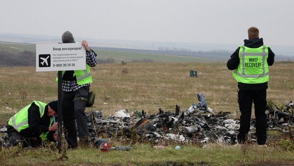مكان تحطم الطائرة الماليزية MH17 - سبوتنيك عربي