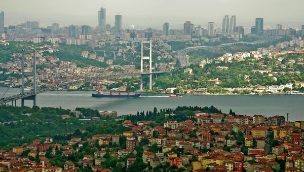 إسطنبول - سبوتنيك عربي