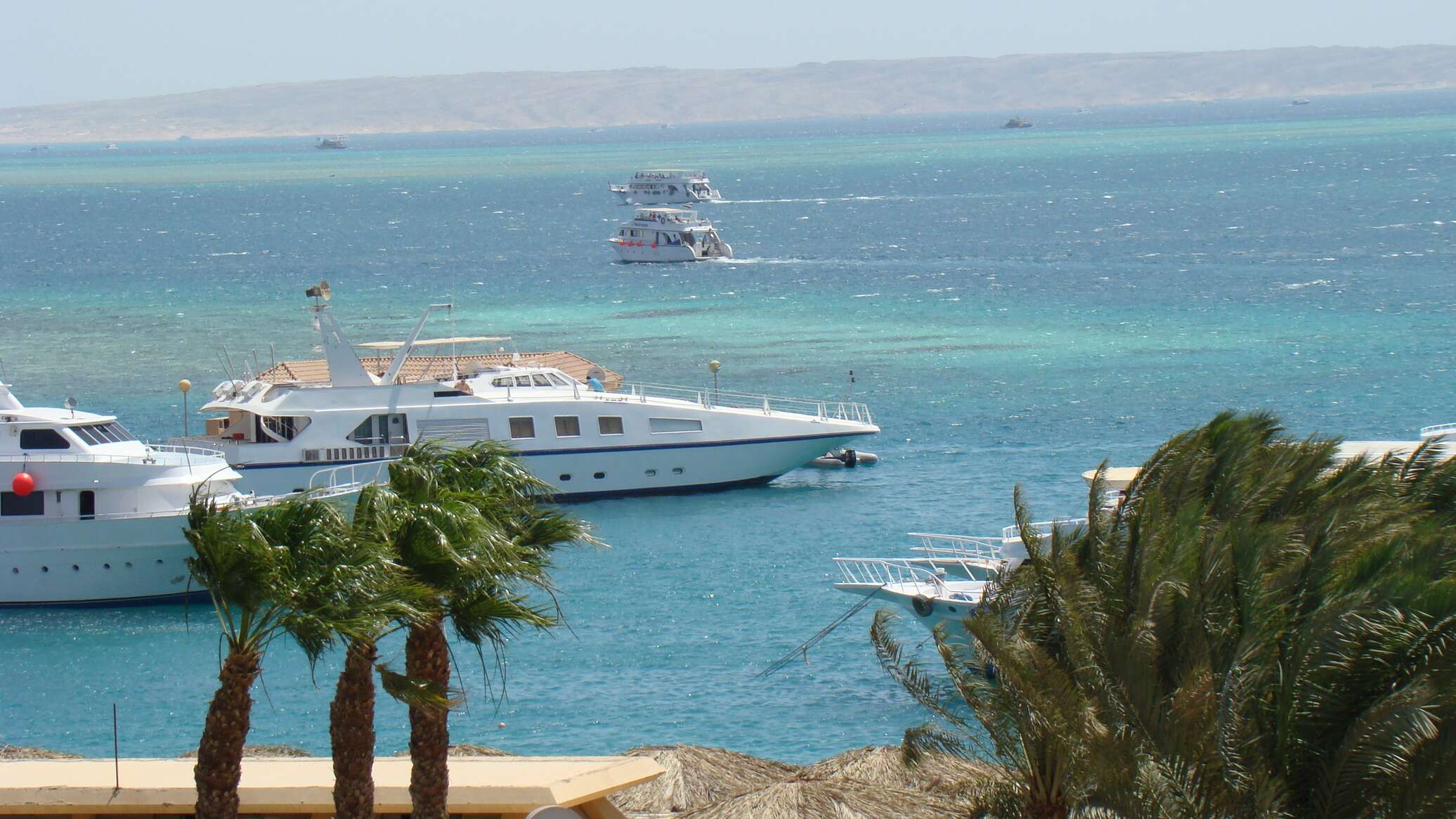 مصر.. جنوح سفينة غاز دولية في خليج العقبة وتأهب من السلطات