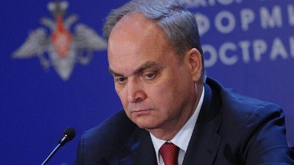 نائب وزير الدفاع الروسي، أناتولي أنطونوف - سبوتنيك عربي