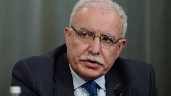 رياض المالكي، وزير الخارجية الفلسطيني - سبوتنيك عربي