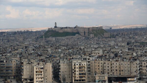 حلب، سورية - سبوتنيك عربي