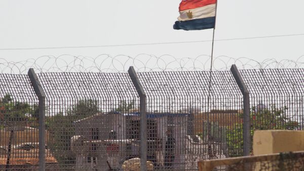 للمزيد من التفاصيل: الحدود الولايات المتحدة الأمريكية تدرس نقل جنودها في مصر من شمال سيناء إلى جنوبها - سبوتنيك عربي