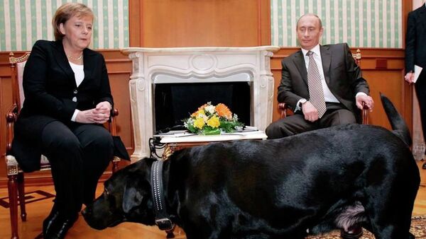 بوتين وكلبه كوني - سبوتنيك عربي