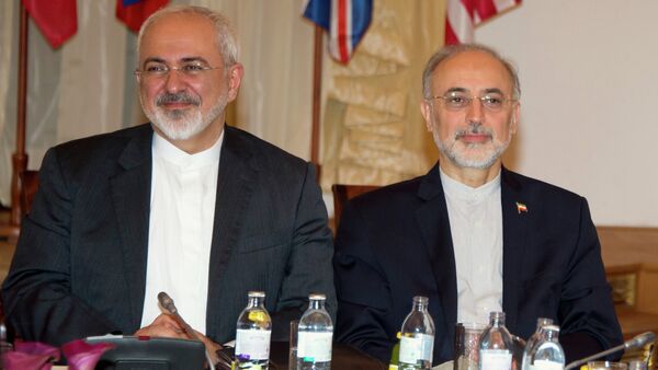 رئيس منظمة الطاقة الذرية الإيرانية علي أكبر صالحي ووزير الخارجية الإيرانية محمد جواد ظريف - سبوتنيك عربي