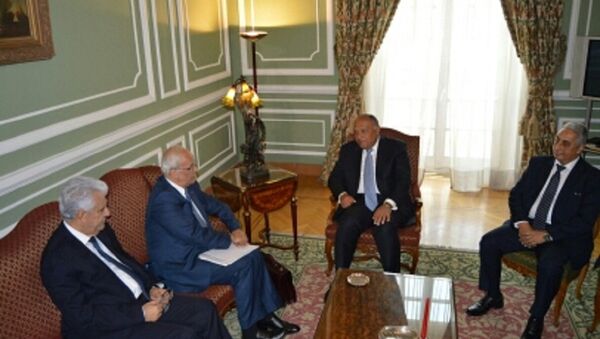 وزير خارجية مصر وكبير المفاوضين الفلسطينيين - سبوتنيك عربي