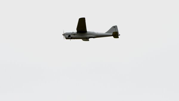 طائرة بدون طيار - سبوتنيك عربي