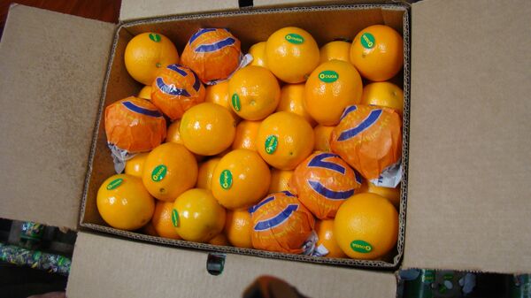 برتقال مصري - سبوتنيك عربي