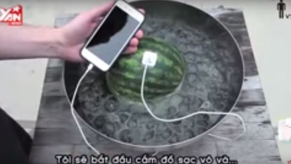 كيف تشحن هاتف آيفون 6 من البطيخ - سبوتنيك عربي