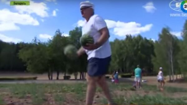رئيس بيلاروسيا يجمع البطاطس والبطيخ - سبوتنيك عربي