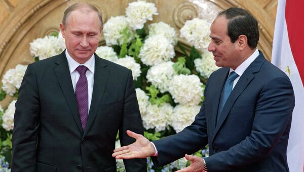 الرئيسان المصرى والروسى - سبوتنيك عربي