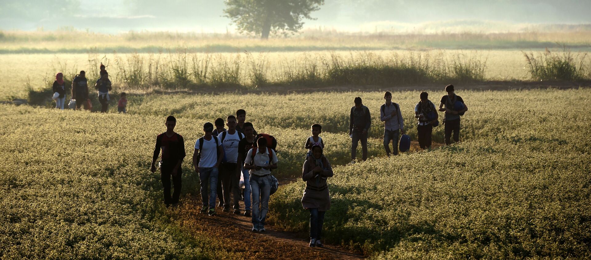 مهاجرين يعبرون الحدود عبر حقل من اليونان إلى مقدونيا، 29 أغسطس/ آب 2015.  - سبوتنيك عربي, 1920, 22.07.2021