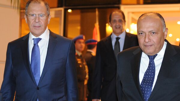 وزيرا خارجية روسيا ومصر سيرغي لافروف وسامح شكري - سبوتنيك عربي