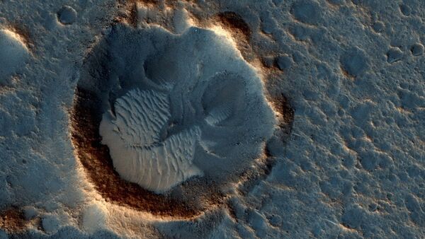 صورة من على سطح كوكب المريخ - سبوتنيك عربي