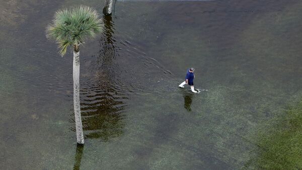رجل يمشي في مياه غفيرة نتجت عن فيضانات كبيرة ف جزريرة النخيل في كارولينا الجنوبية، بالولايات المتحدة الأمريكية. - سبوتنيك عربي
