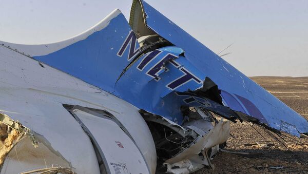 تحطم الطائرة الروسية فى مصر - سبوتنيك عربي