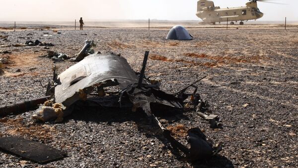 أشلاء الطائرة التي تحطمت في مصر - سبوتنيك عربي
