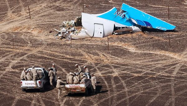 أشلاء الطائرة المتحطمة في مصر - سبوتنيك عربي