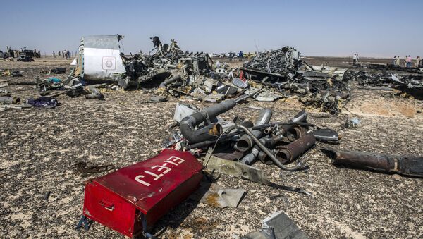 تحطم الطائرة الروسية - سبوتنيك عربي